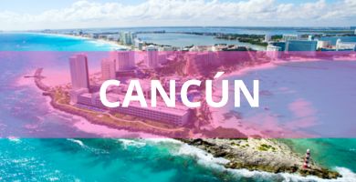 estetica canina domicilio Cancun