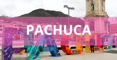 Estéticas Caninas en Pachuca